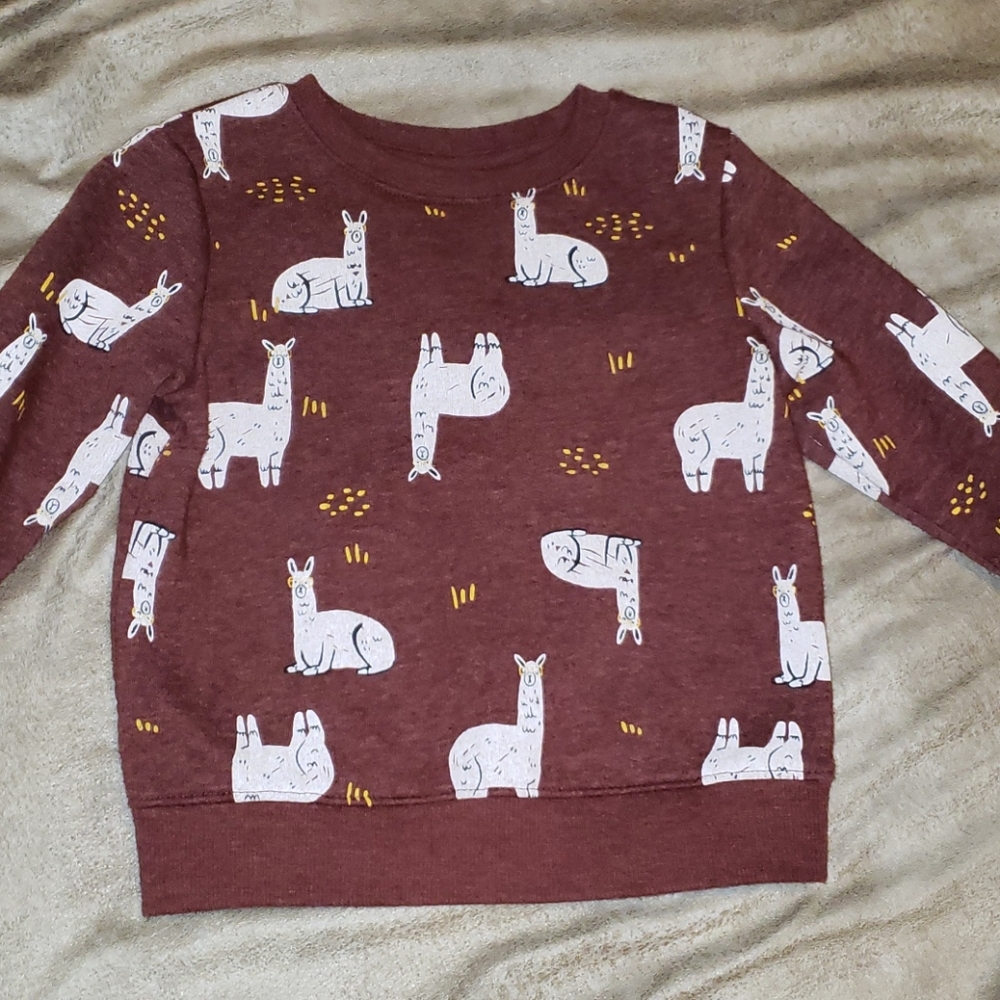 Cat & Jack 18mth sweater